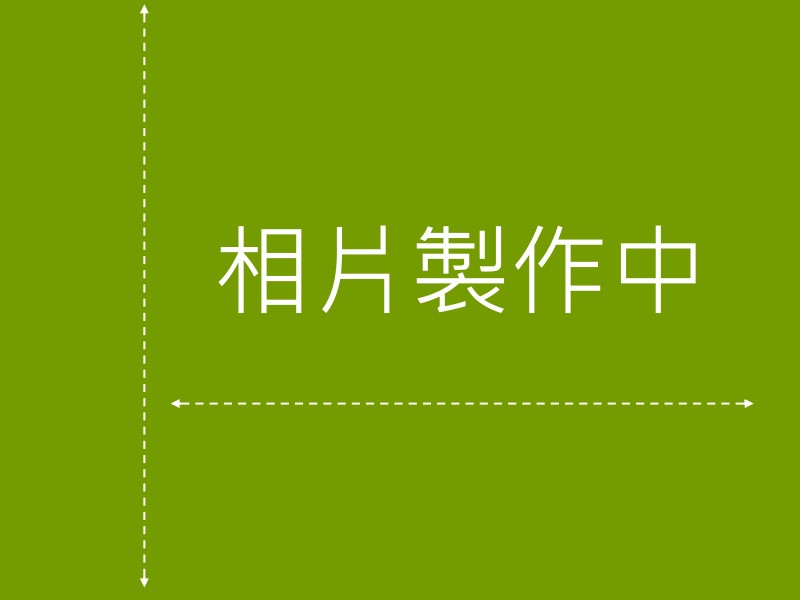 迷彩阿里山帳(訂製型)